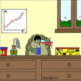 Tortoise And His Little Chemist Set by Hagen