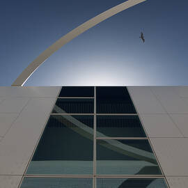 Touching The Sky by Filipe P Neto