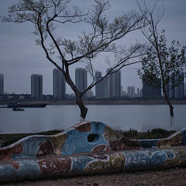 Tree And Playground Besides River. by Tongjun Zhou