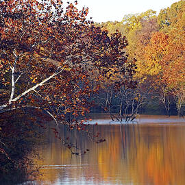 Trees at the Water's Edge by Mike Murdock
