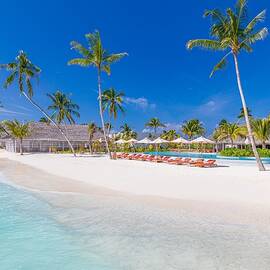 Tropical Beach Vertical Panoramic by Levente Bodo