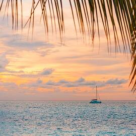 Tropical Sunset With Palm Leaves by Levente Bodo