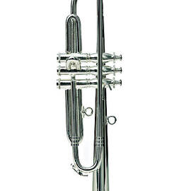Trumpet by Thepalmer