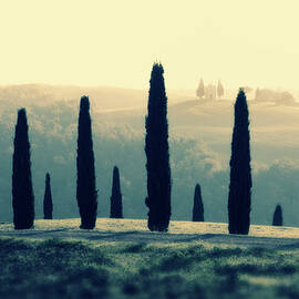 Tuscany, Orcia Valley, Landscape by Massimo Ripani
