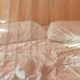 Two Pillows And Empty Bed With Netting by Sasha Weleber