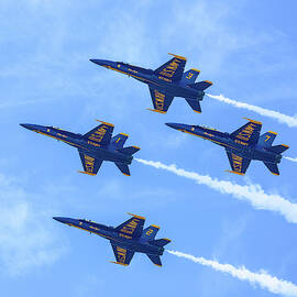 United States Navy Blue Angels by Dale Kincaid