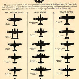 United States Warplanes - Aircraft Spotting Guide - Aircraft Silhouette - World War 2