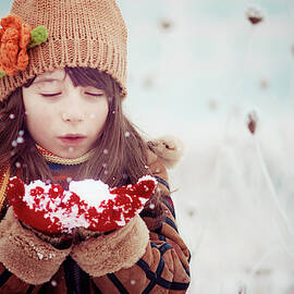 Untitled by Svetlana Bekyarova