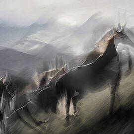 Up by Milan Malovrh