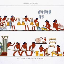 Various Uses Of Nets, From A Rare Record Of Frescoes From Thebes, Recorded 1819-1822 On His Second Visit To Egypt By Frederic Cailliaud (1787-1869) by Frederic Cailliaud