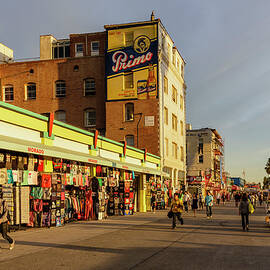 Venice Beach, Los Angeles by Brook Mitchell