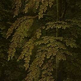 View in a Forest, outer right wing of a triptych. by Gerard David