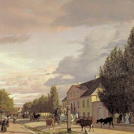 View Of A Street In Osterbro Outside Copenhagen. Morning