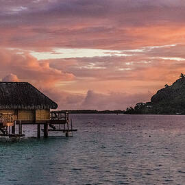 Waking Up In Bora Bora  by Edward Garey