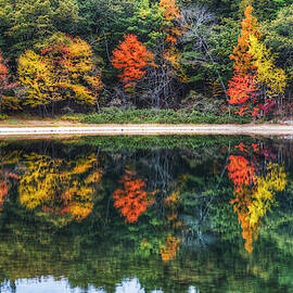 Walden Pond Fall Foliage Concord MA Reflection by Toby McGuire