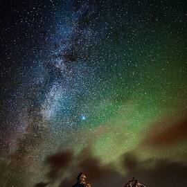 Watching And Thinking by Zhang Dong