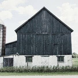 Weathered Iii Navy Wood by Elizabeth Urquhart