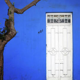 When a Tree Comes Knocking by Rick Locke - Out of the Corner of My Eye