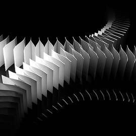 White Curves On Black by Photo Ephemera