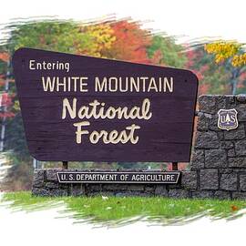 White Mountain National Forest Cutout by White Mountain Images