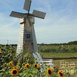 Windmill and Sunflowers