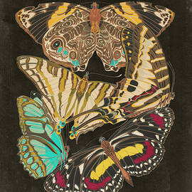 Winged Patterns I by Eugene Seguy