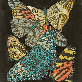 Winged Patterns Ii by Eugene Seguy
