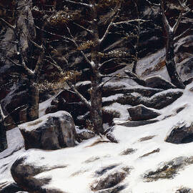 Winter, C.1873 by Gustave Courbet