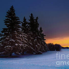 Winter wonderland by Viktor Birkus