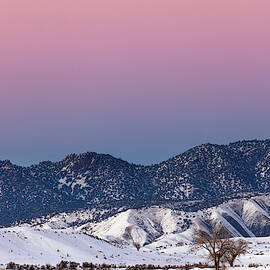 Winter's Gradient by Denise Bush