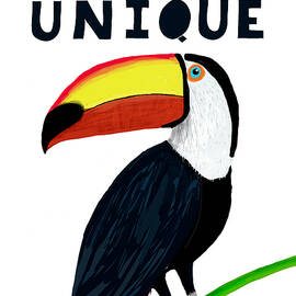Hornbill Drawings