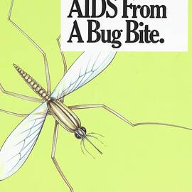 You Wont Get Aids From A Bug Bite by Anonymous