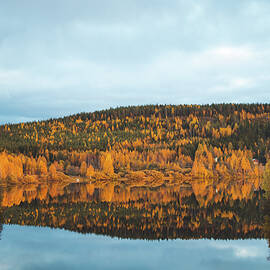 Autumn fairy tale in Kainuu, Finland by Vaclav Sonnek