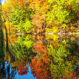 Autumn In Central Park, NYC by Madeline Ellis
