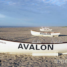 Avalon New Jersey Lifeboat 4 by John Van Decker