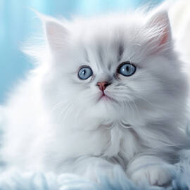 Beautiful Kitten by Ewa Art