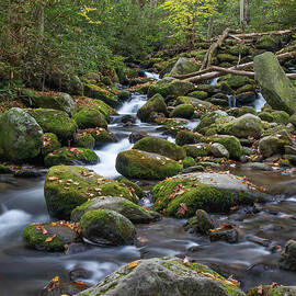 Cascade 2 by Nunweiler Photography
