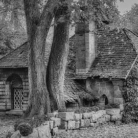 Cottage During Autumn by Susan Candelario