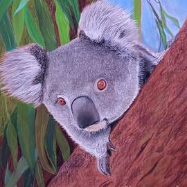 Cute koala by Cybele Chaves