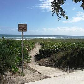 Delray Beach A1A Florida by Catherine Ludwig Donleycott
