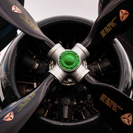 Douglas A-4 Skyraider by Flees Photos