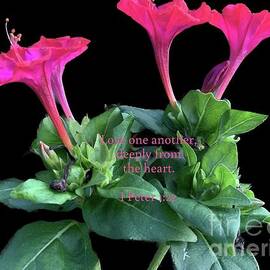 Flower Love by Catherine Wilson