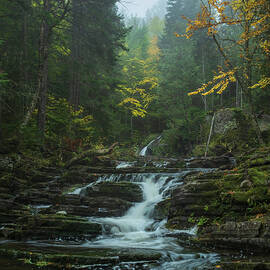Foggy Morning Woodland Landscape for Living Room Autumn Maple Trees and Waterfall Decor, New Bruns by Yves Gagnon
