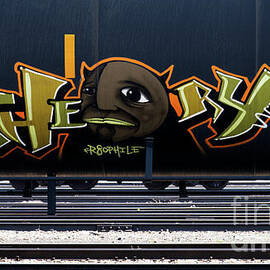 Graffiti On The Rails 21 by Bob Christopher