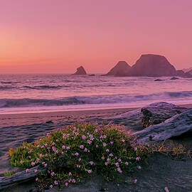 Greenwood Beach Sunset by Dianne Milliard