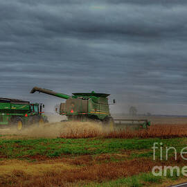 Harvesting Soy Beans  by Larry Braun