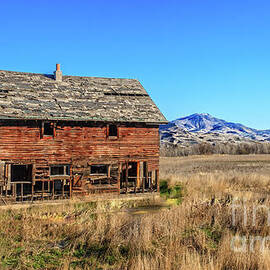 Homestead View by Robert Bales