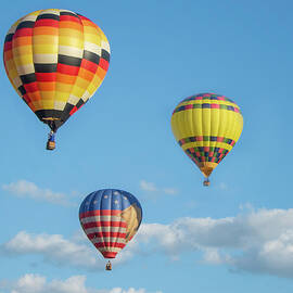 Hot Air Balloons by Eleanor Bortnick