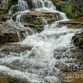 Jackson Waterfalls by Alana Ranney