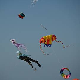 Kite Festival by Rein Nomm
